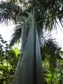 Guyane 48-2012