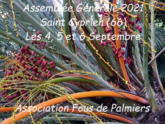 Affiche ag 2021