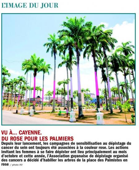 Les palmistes contre le cancer du sein à Cayenne.jpg